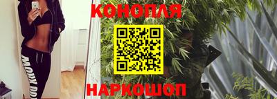мдпв Малгобек