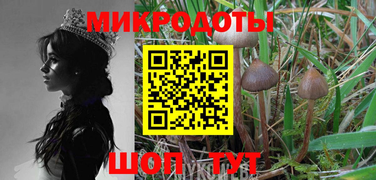 Галлюциногенные грибы ЛСД  Псилоцибиновые грибы GOLDEN TEACHER  Реж  Вход с VPN 